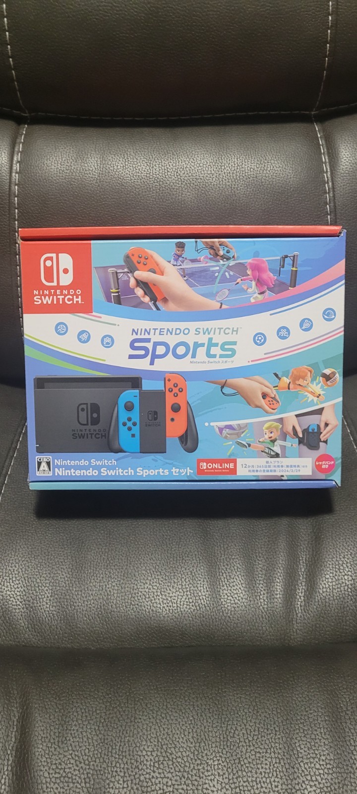 Region Free Nintendo Switch Sports Multiplayer Console Bundle