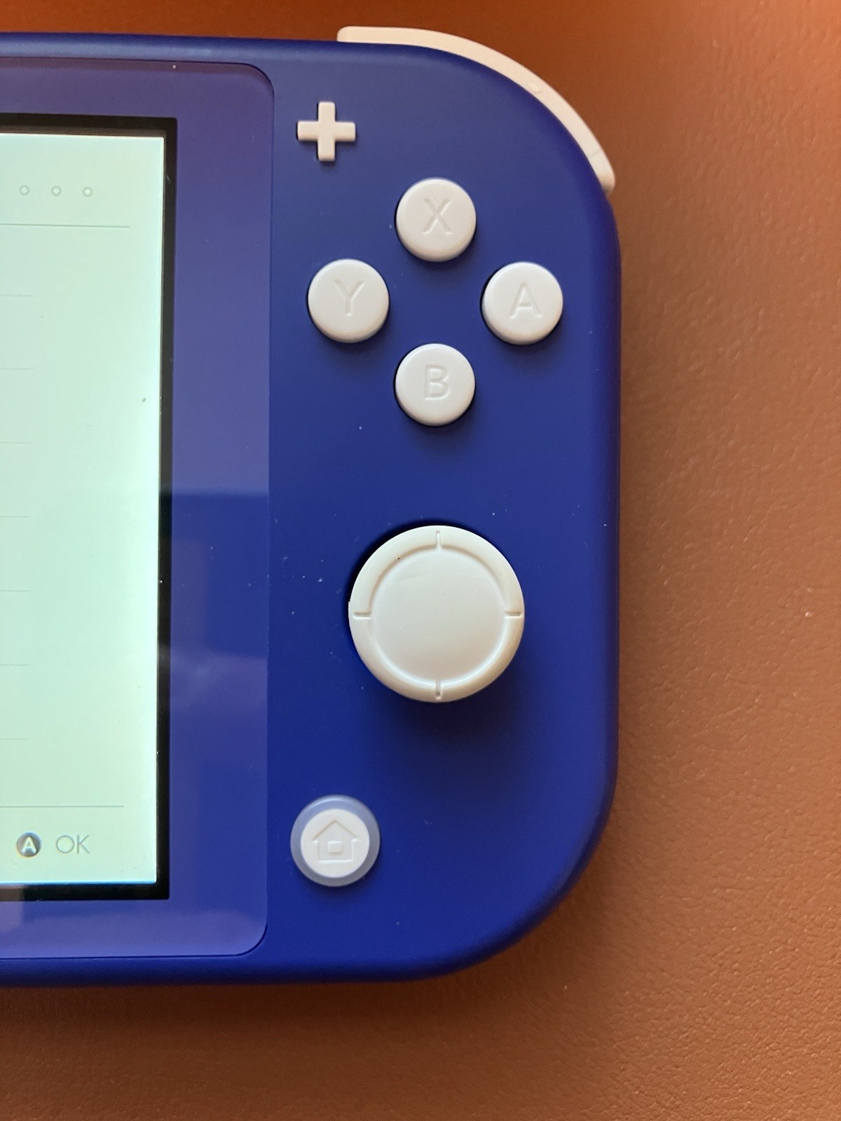 Nintendo Switch Lite with 256GB Micro SD Card Case and Charger. Great Condition